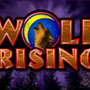 Wolf Rising